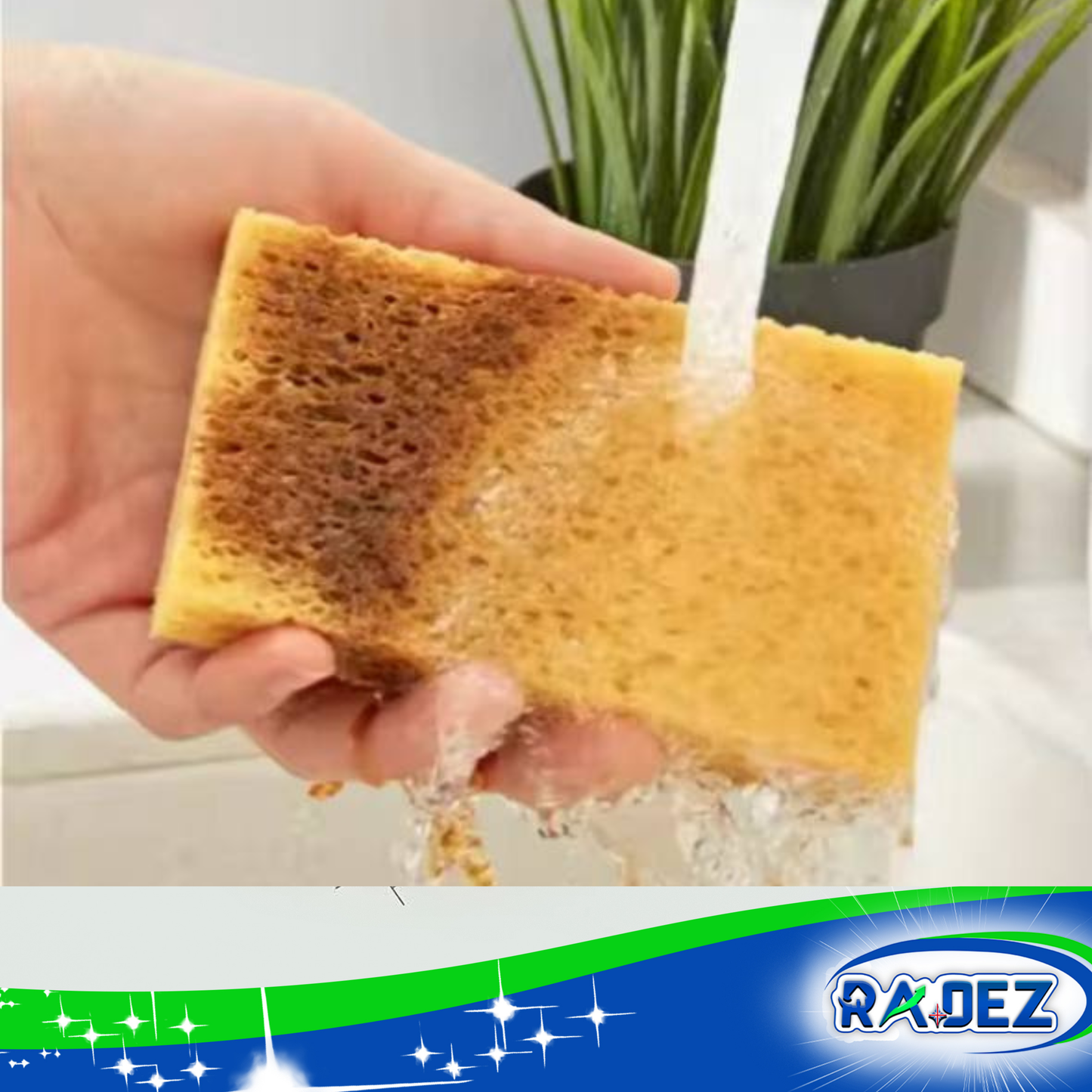 Eco coconut sponges 10 pack